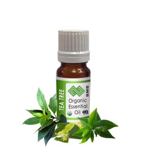 Tea Tree Essential Oil Organic