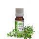 Thyme Essential Oil Organic