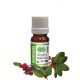 Wintergreen Essential Oil Organic