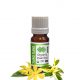 Ylang Ylang Essential Oil Organic